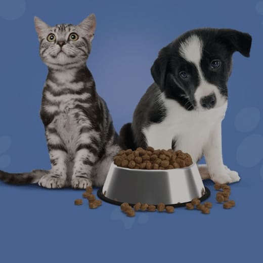 Wagtopia
