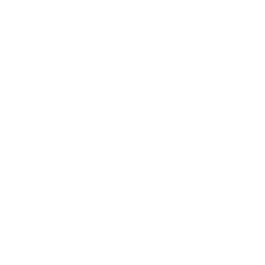 Norie Shoes