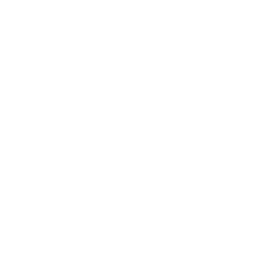 Beginning Boutique
