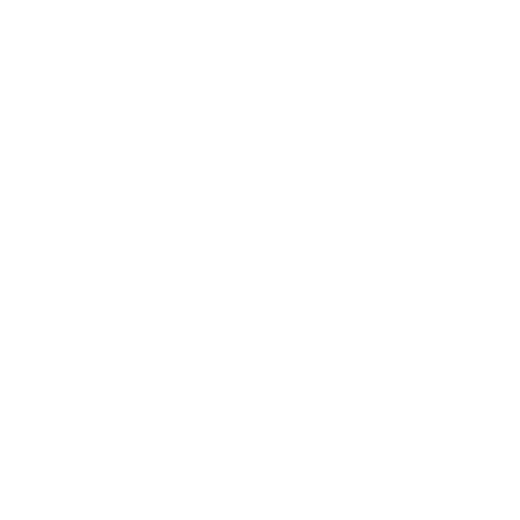 Sole Society