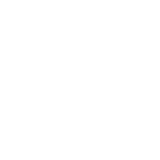 Noize