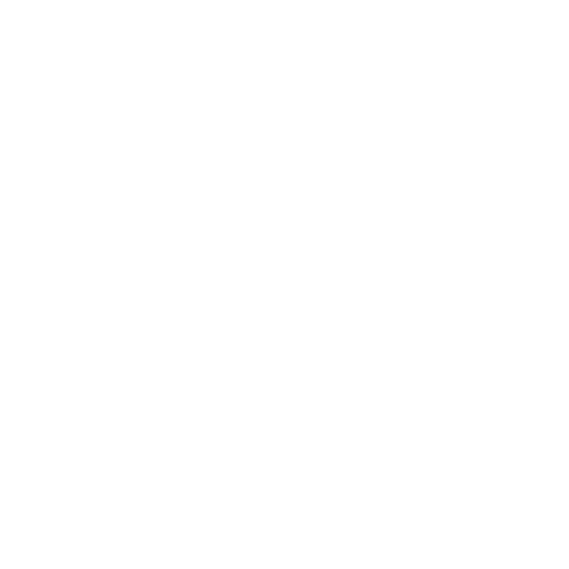 Zodiac Shoes