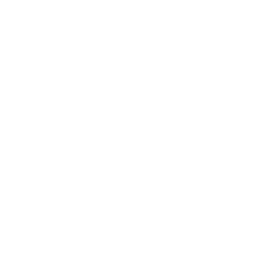 Moleskine