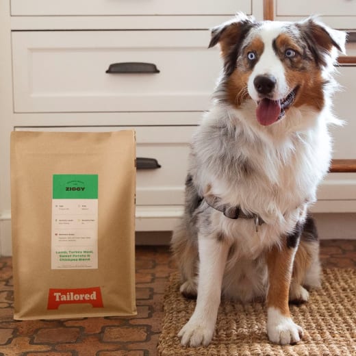 Tailored Pet Nutrition
