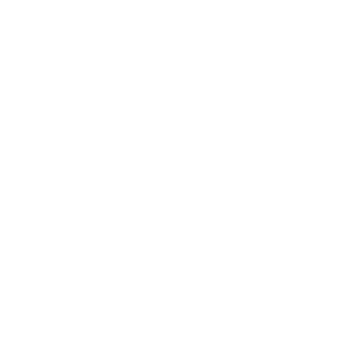 Blundstone