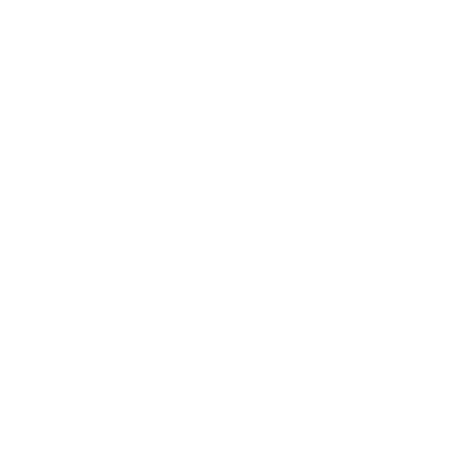 Swarovski