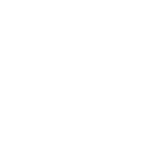 Fix Auto