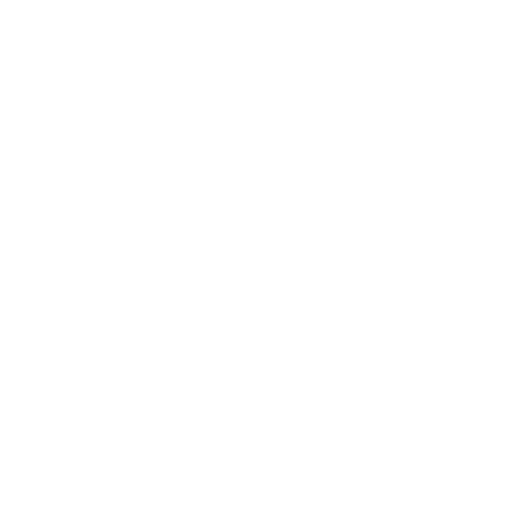 Theory