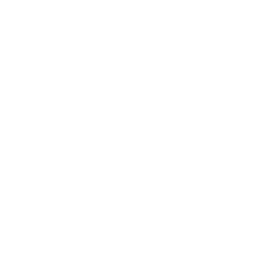 GoPro