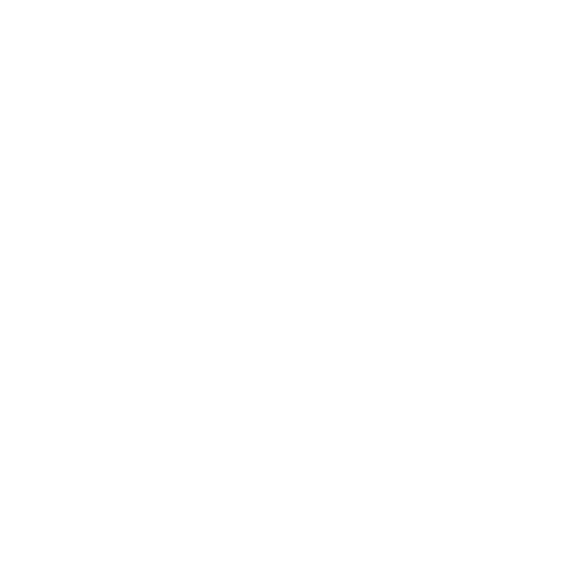 Lorex Technology