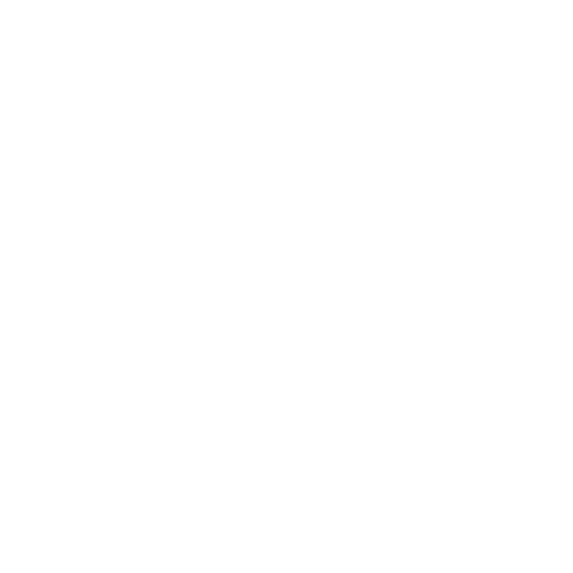 Boutique Rugs