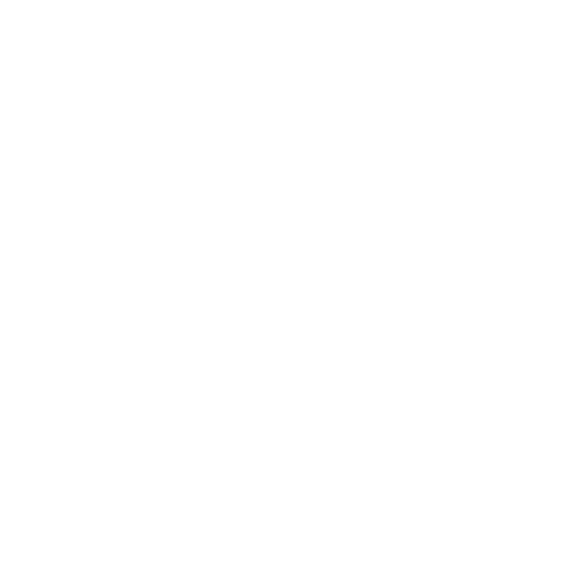 iRobot
