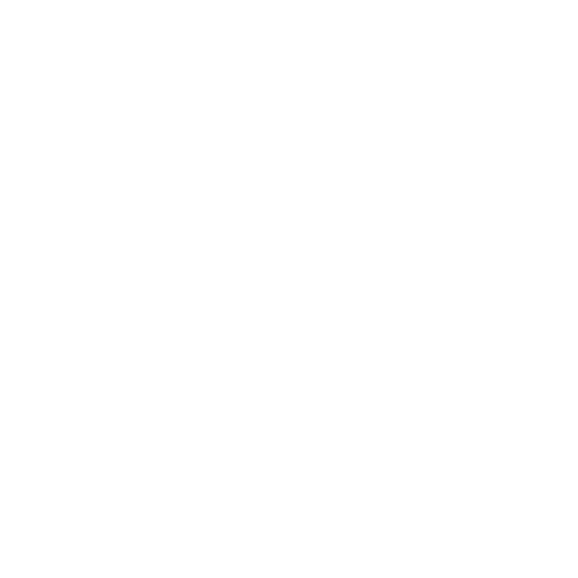 Lancer