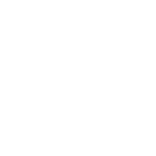 Alternative Airlines
