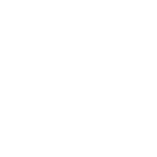 BOGS