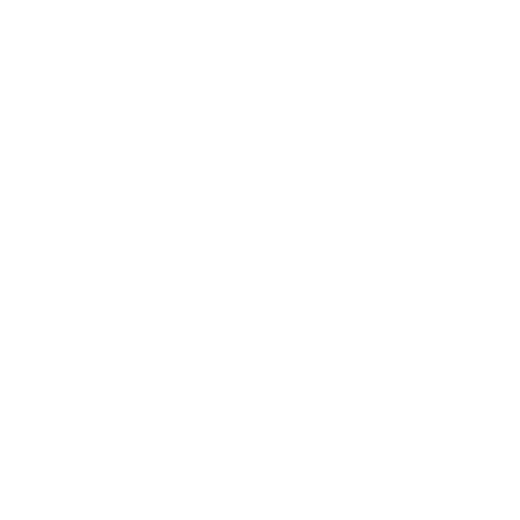 The Ayurveda Experience