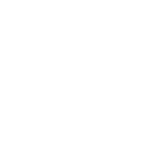 Binge Online Boutique