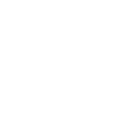 Del Toro Shoes