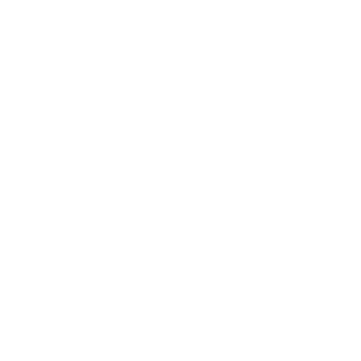 The Messi Store