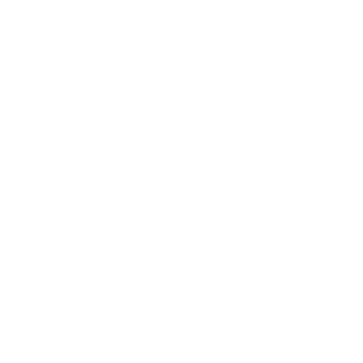 Patagonia
