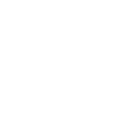 Chico's