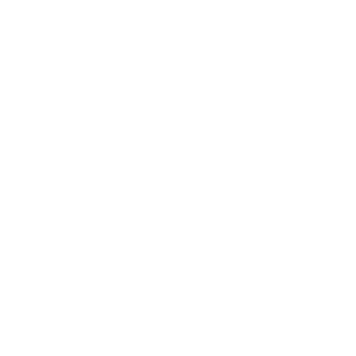Lee Jeans