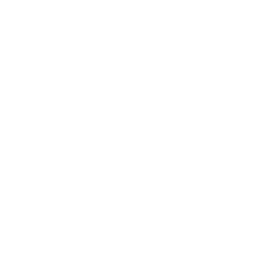 Sally Beauty