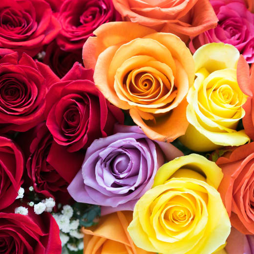 SendFlowers.com