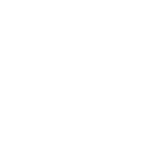 Birdy Grey