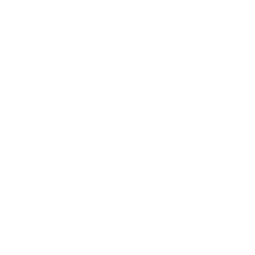 The Home Depot