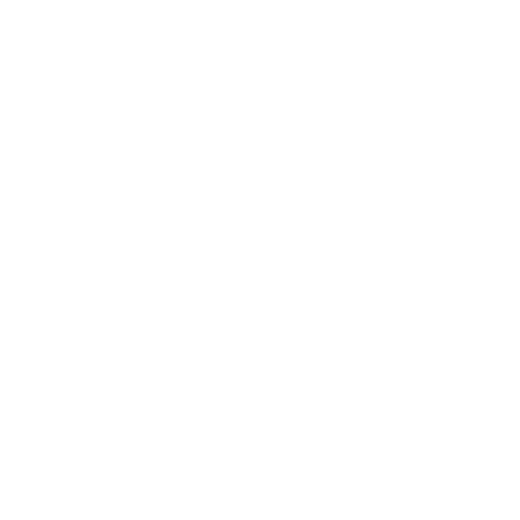 Lyft