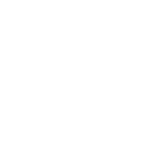 Vitruvi