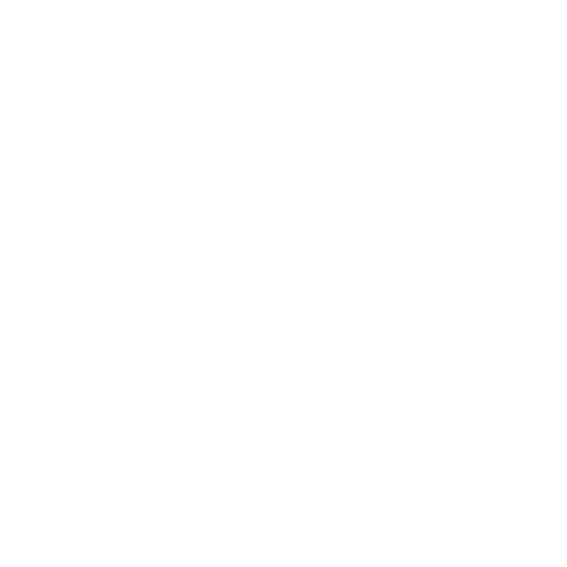 Tieks