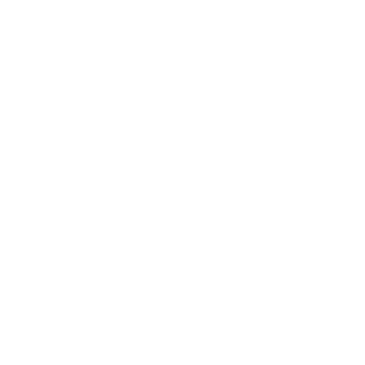 Ariat