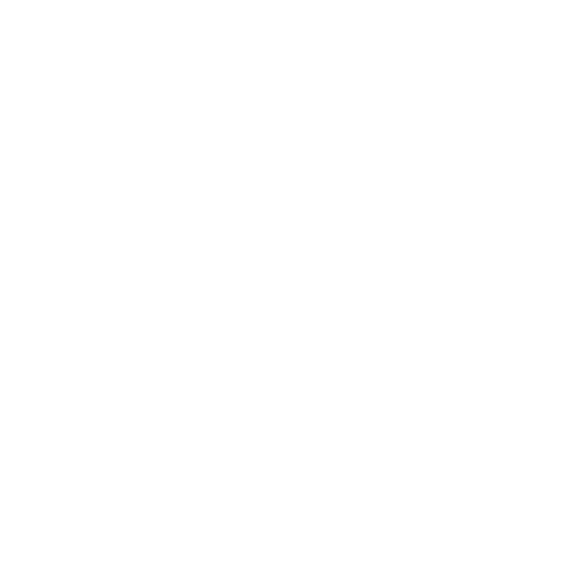 12th Tribe