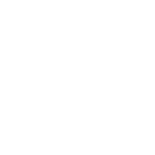 Ashley Stewart