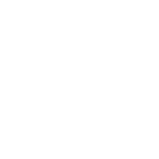 Stein Mart