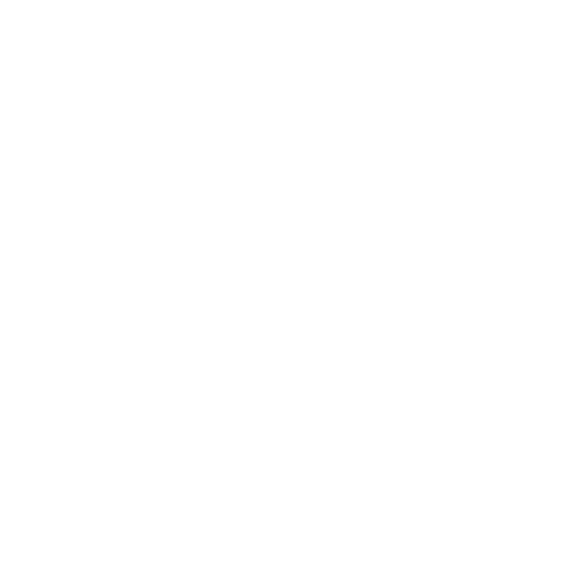 Pep Boys