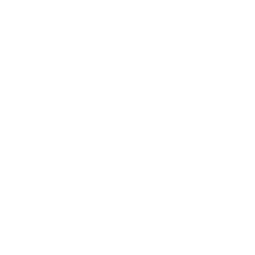 Believer