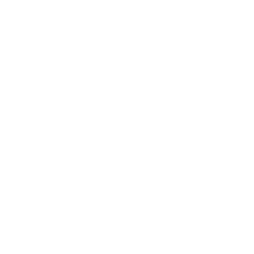 XOXO Virgin Hair