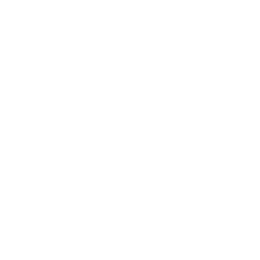Noah NYC