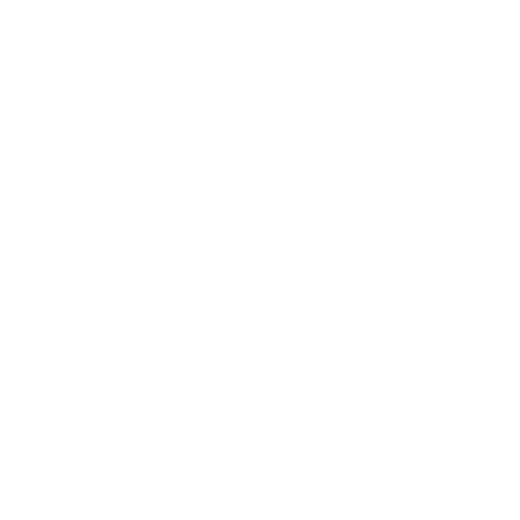 Steiner Sports