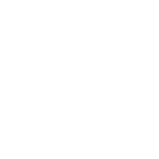 Camille La Vie