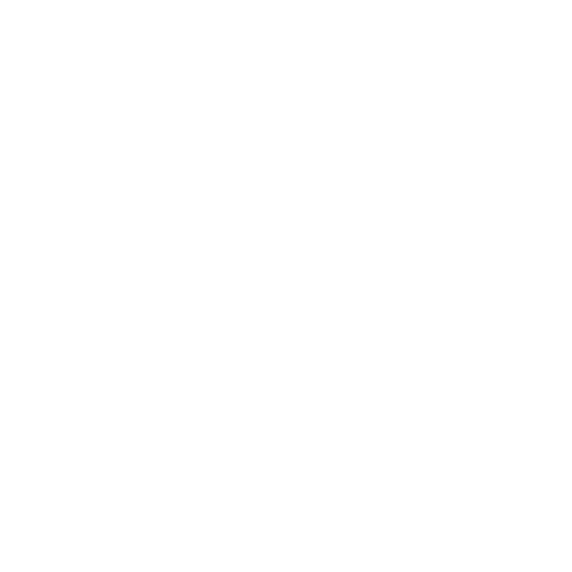 Brooks Running
