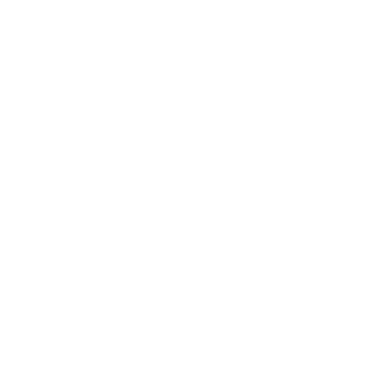New York & Company