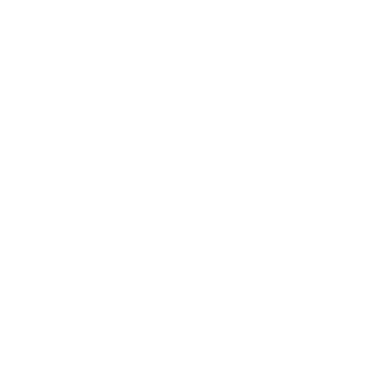 SLT