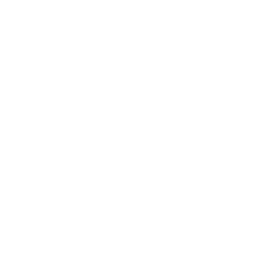 The Foggy Dog