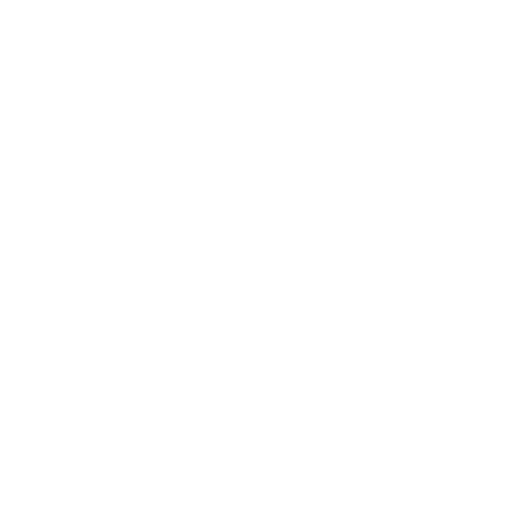 Everlane