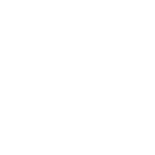 P448