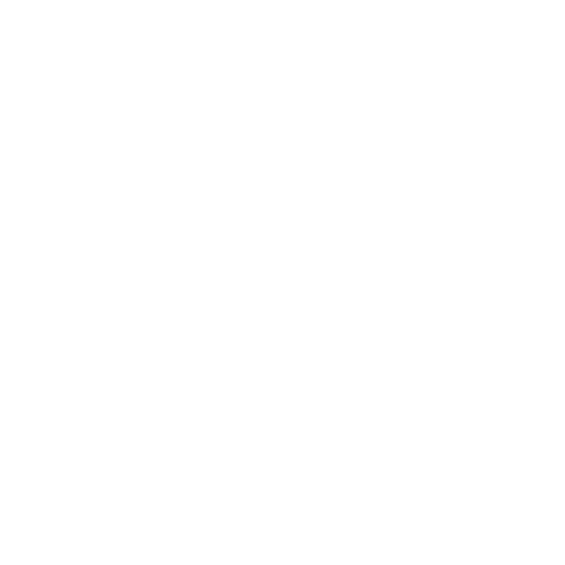 RED Valentino
